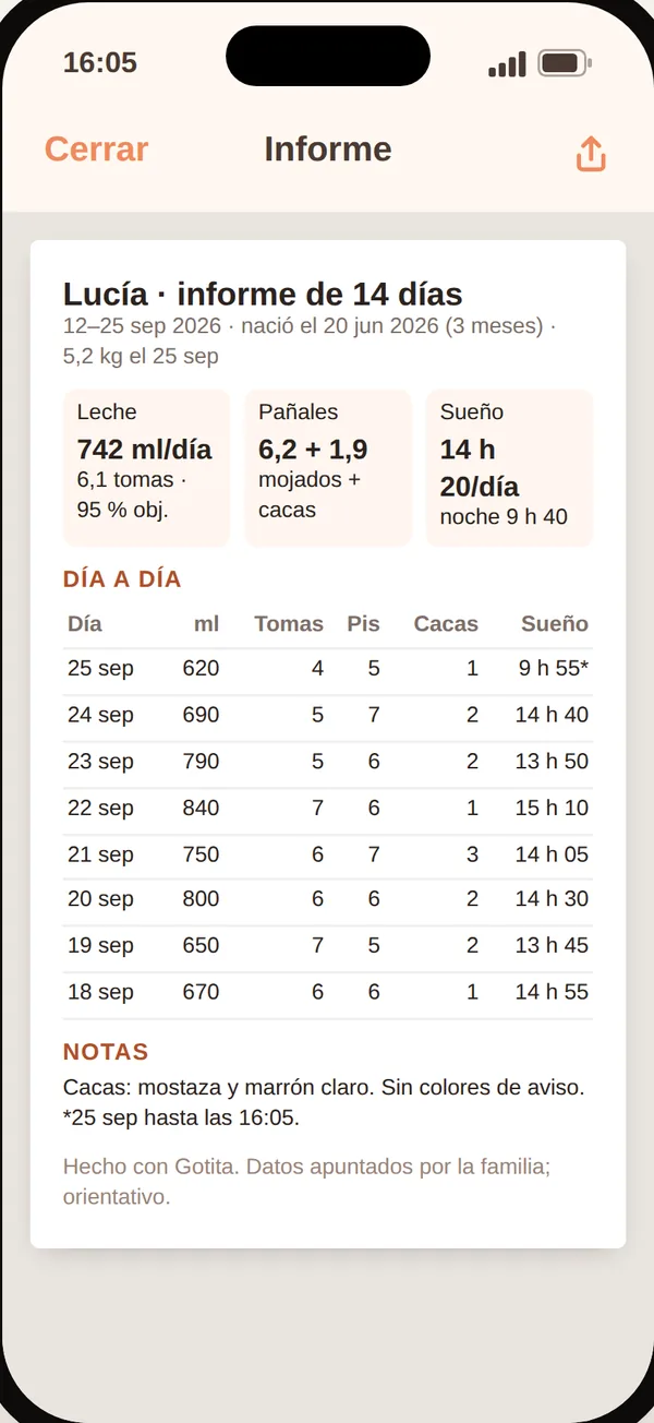 Informe